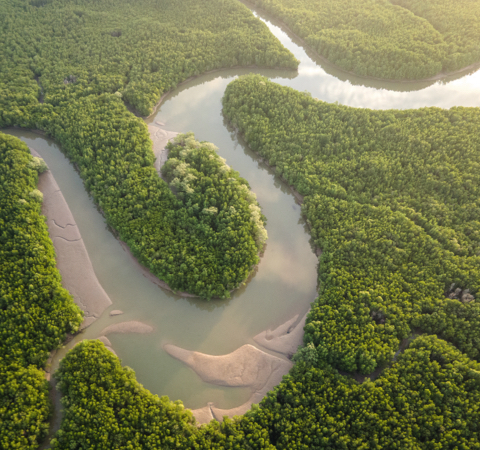 amazon-river-01