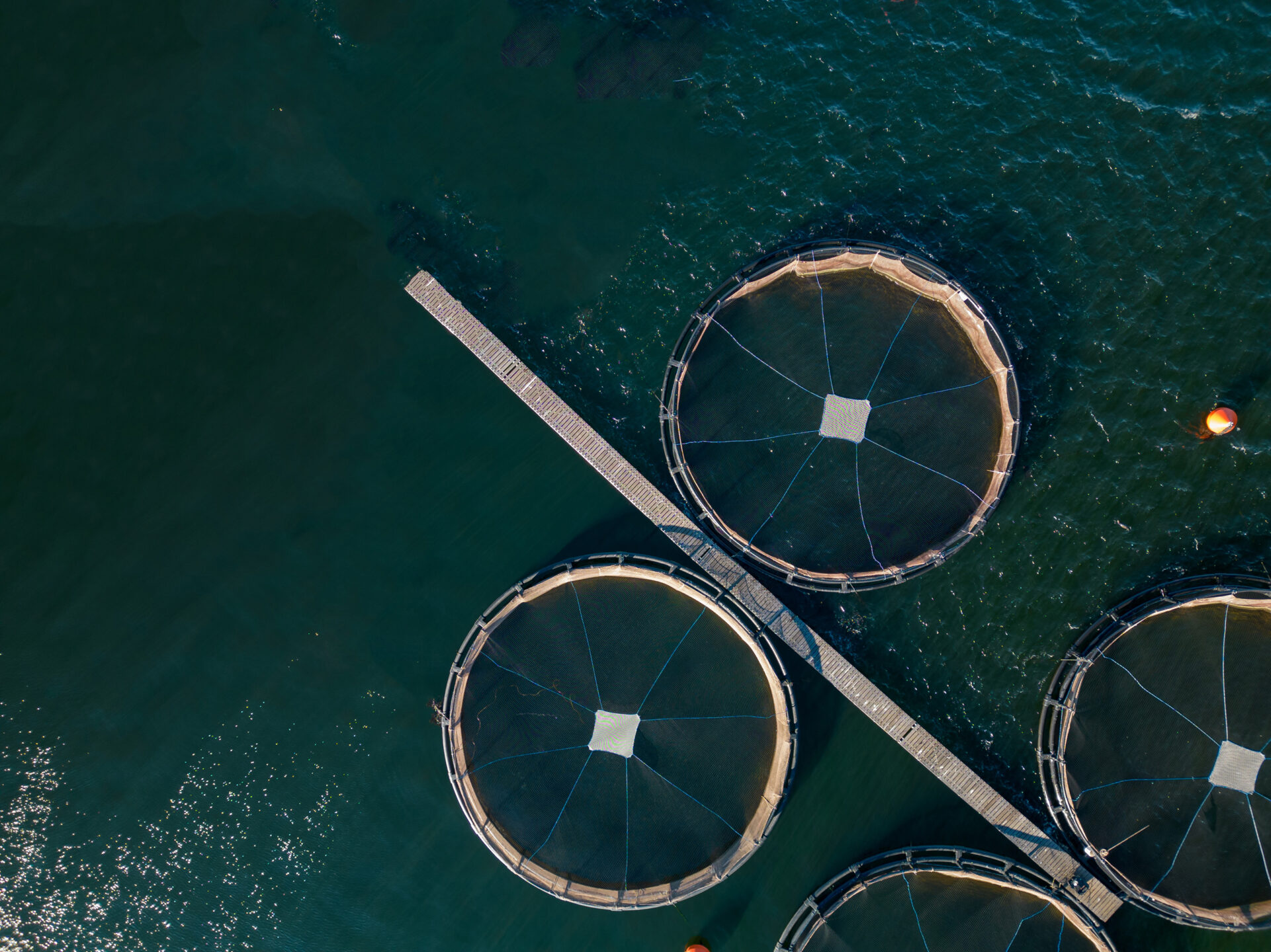 aquaculture